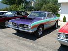 Image: Purple Lace Cuda